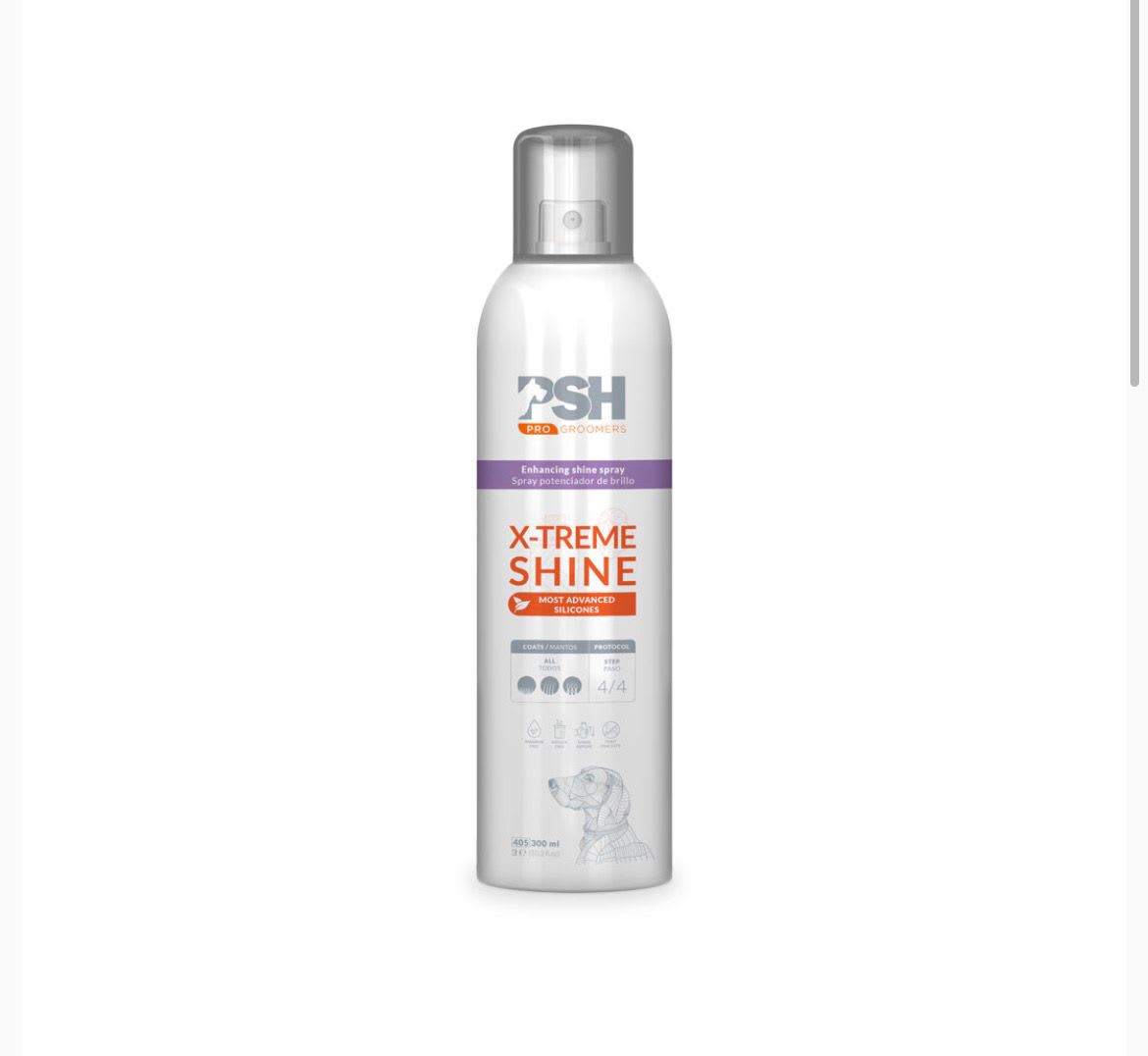 X-TREME SHINE 300 ML1