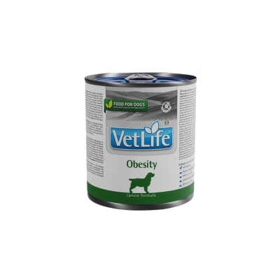 VETLIFE LATA OBESITY CANINO 300 G1