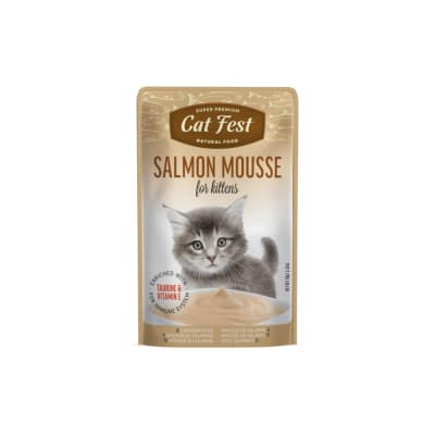 CATFEST KITTEN1