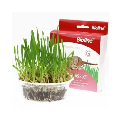 CAT GRASS KIT BIOLINE1