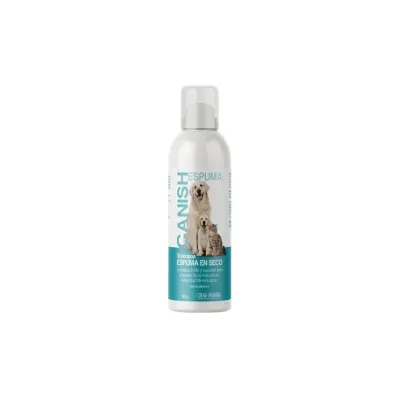 Canish Shampoo Espuma en Seco1