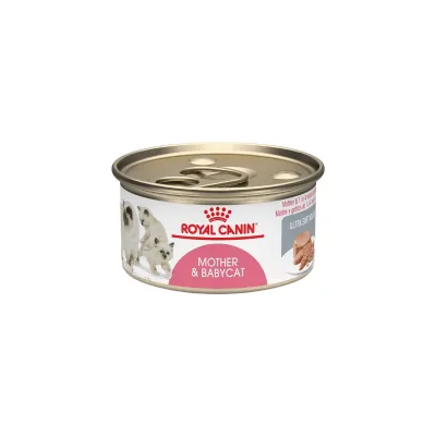 LATA ROYAL CANIN MOTHER & BABYCAT 145G1