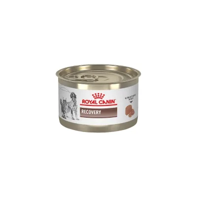 LATA ROYAL CANIN RECOVERY 145G1