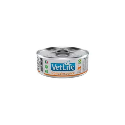 LATA VETLIFE FELINE CONVALESCENCE 85 GR2