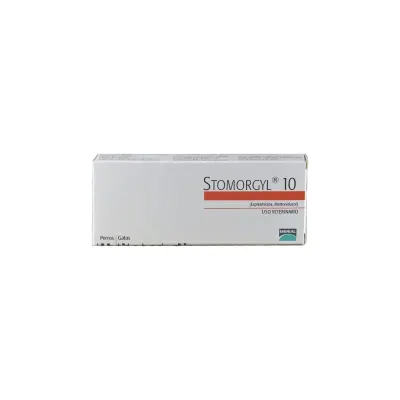STOMORGYL 101