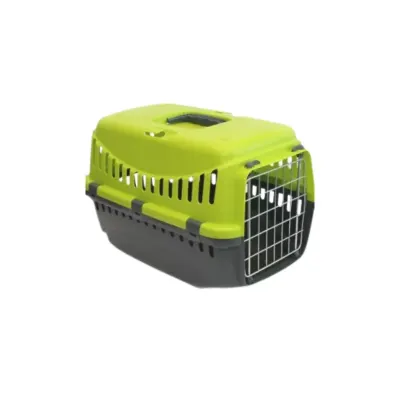 TRANSPORTADORA GIPSY 11