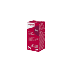 GALLIPRANT 60 MG (30 COMPRIMIDOS )
