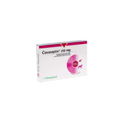 CLAVASEPTIN 250 MG