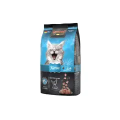 Leonardo Gato kitten - 7.5 KG