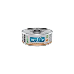 LATA VETLIFE FELINE CONVALESCENCE 85 GR