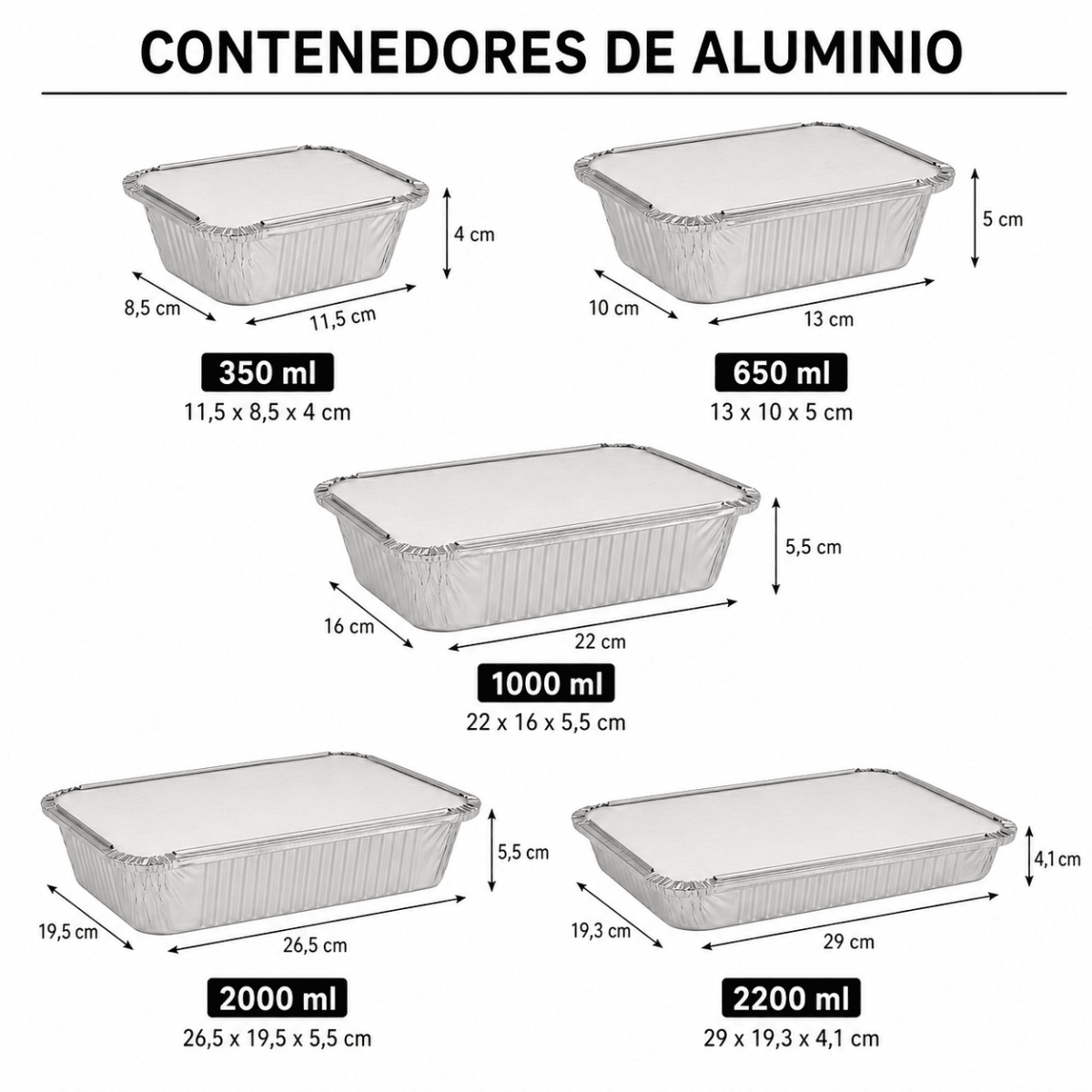 Contenedor Aluminio + Tapa Carton1