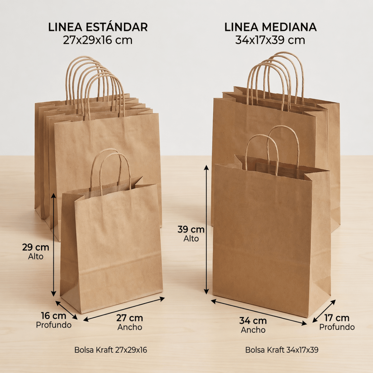 Bolsa Kraft C/Manilla1