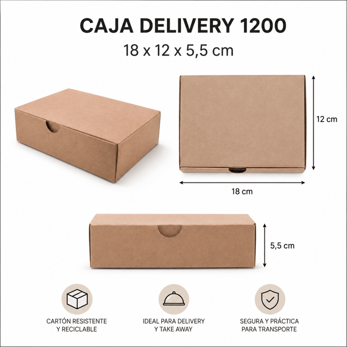 Caja Delivery 12001
