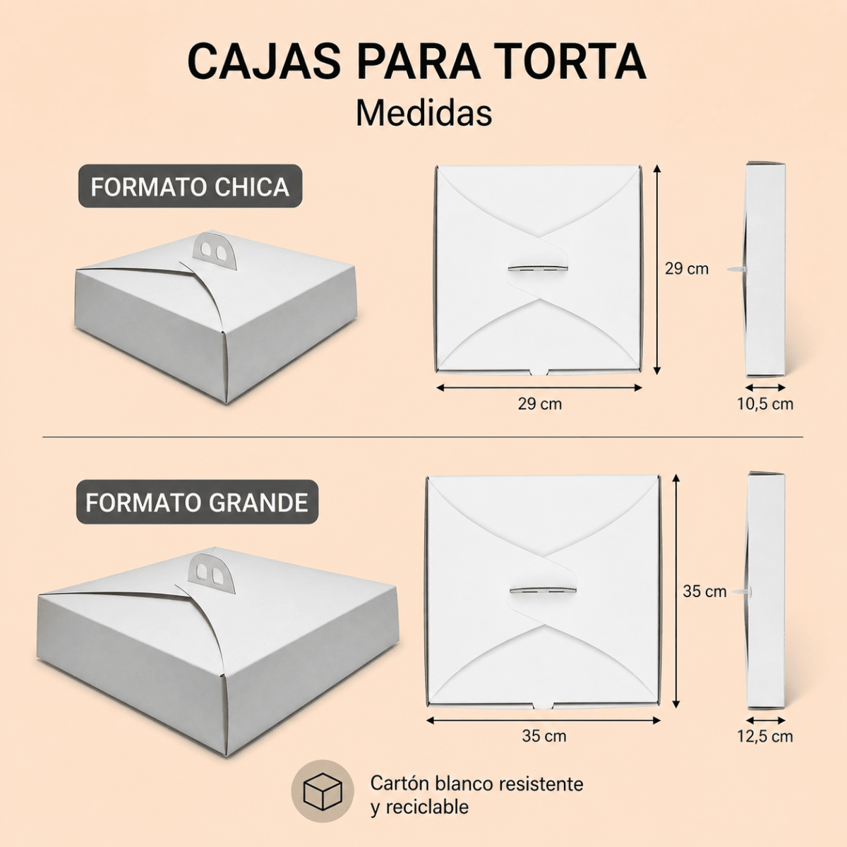 Caja Torta1