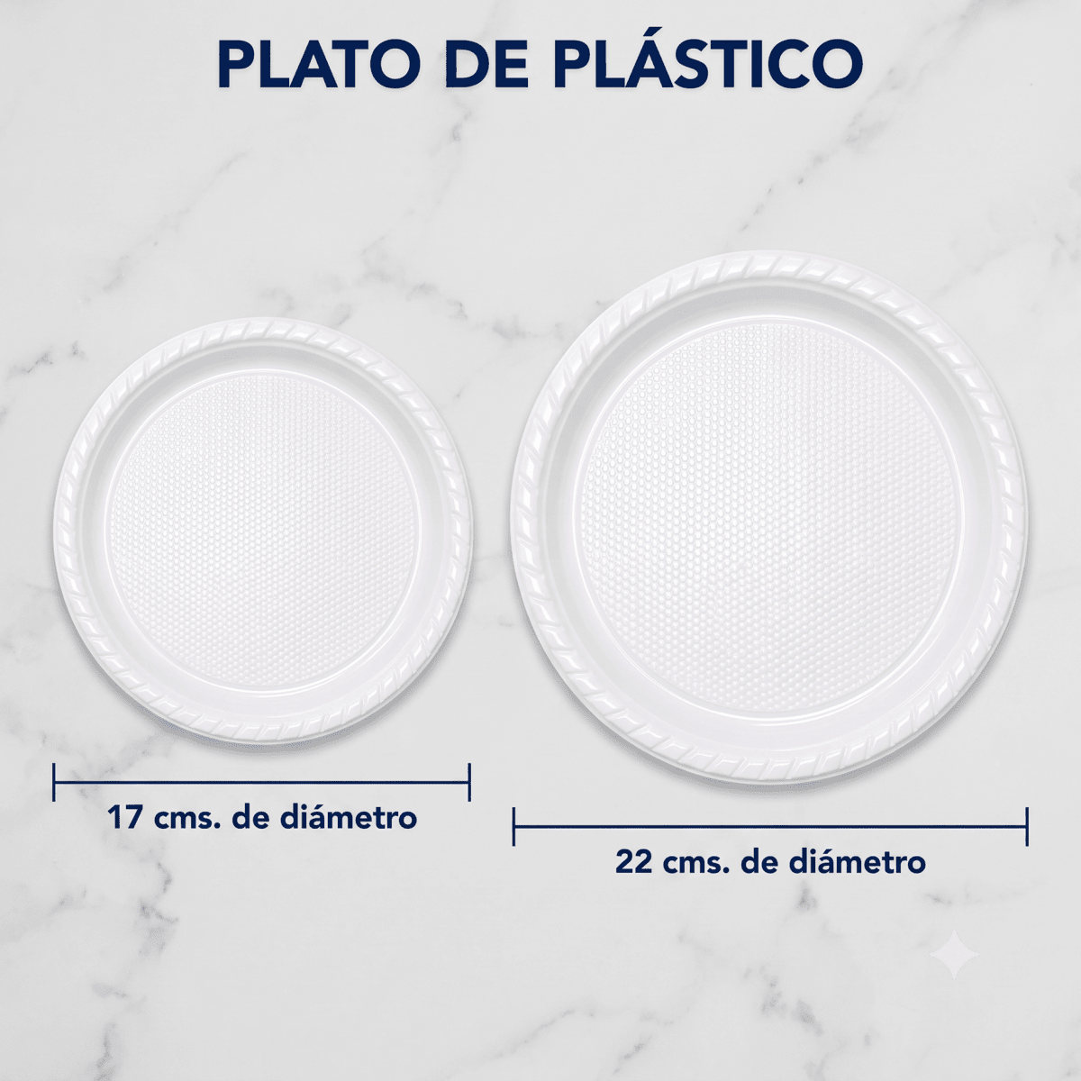 Plato de plástico1