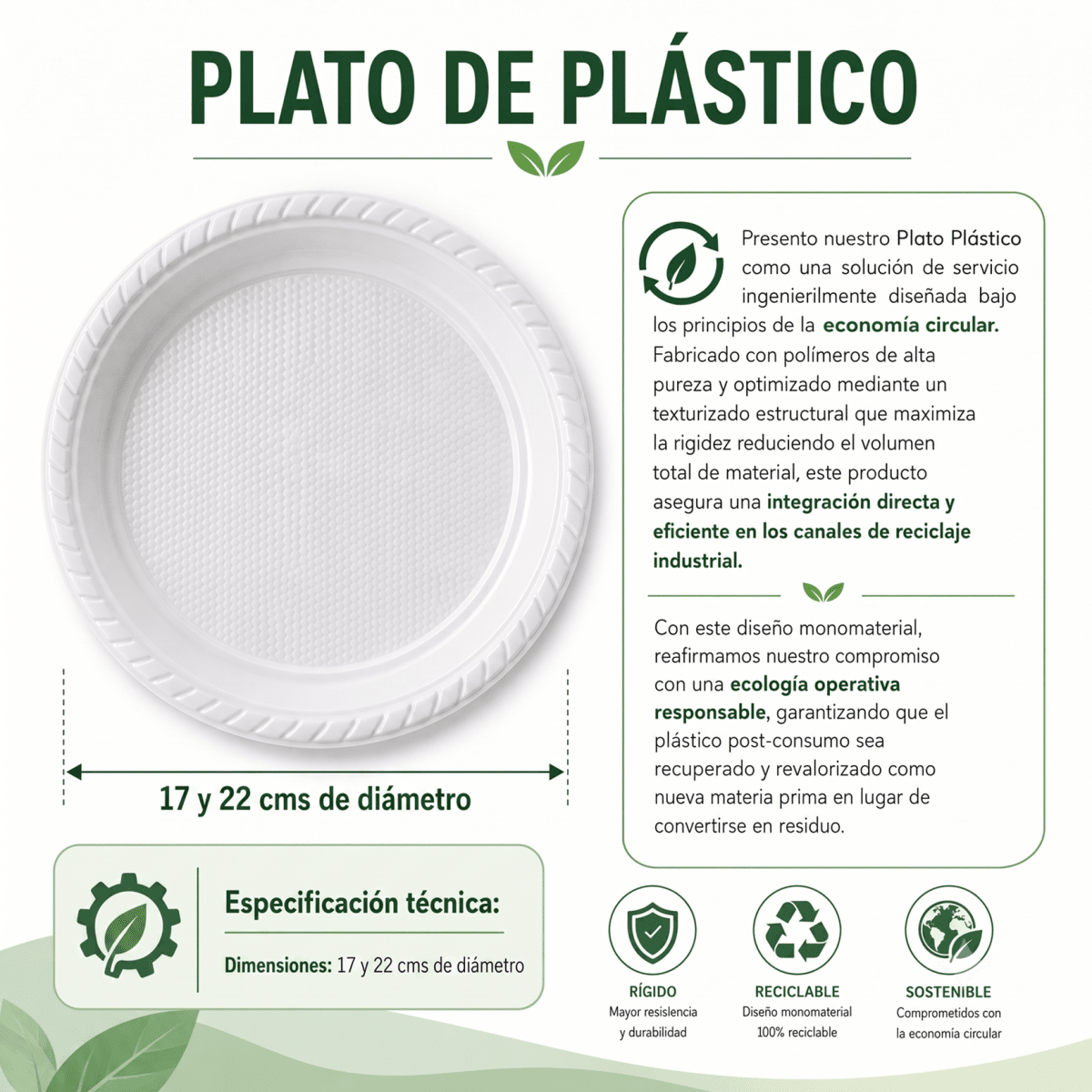 Plato de plástico4