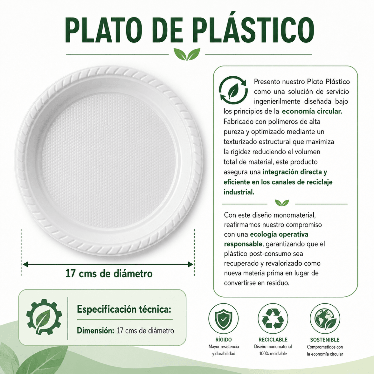 Plato de plástico4