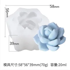 Molde suculenta flor