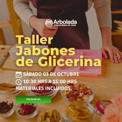 Taller de Jabones