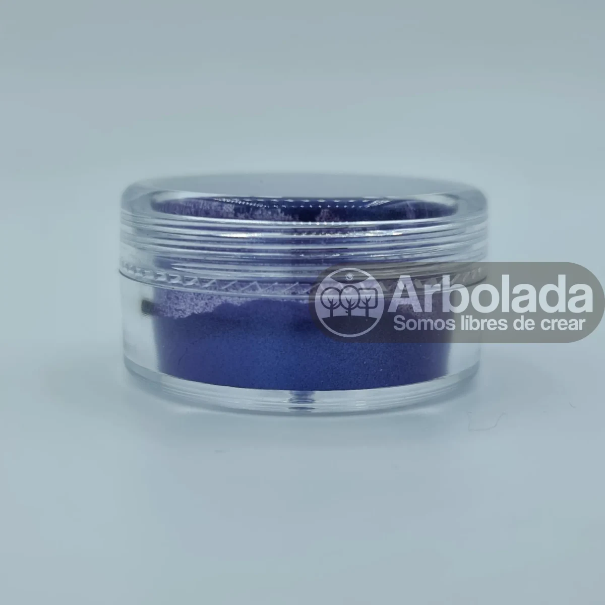 MICA Violeta Obispo 2gr1