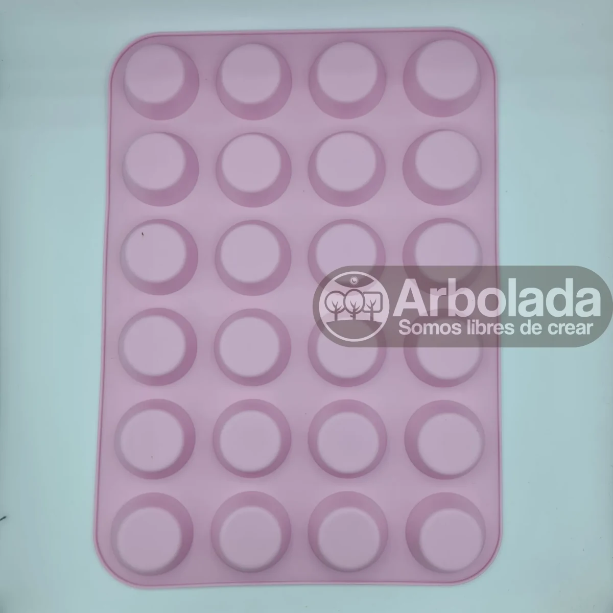 Molde Pastilla Pequeña (24 cavidades)1