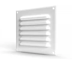 CELOSIA PLANA DE 15X15CM