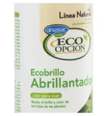 ABRILLANTADOR ECO HOME 250CC