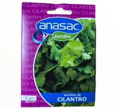 SEMILLA CILANTRO 5G