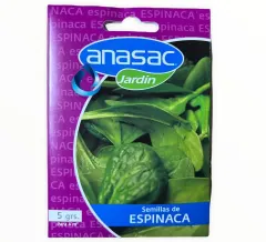SEMILLA ESPINACA 5G