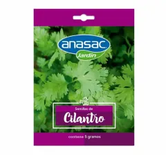 SEMILLA BERENJENA 5G