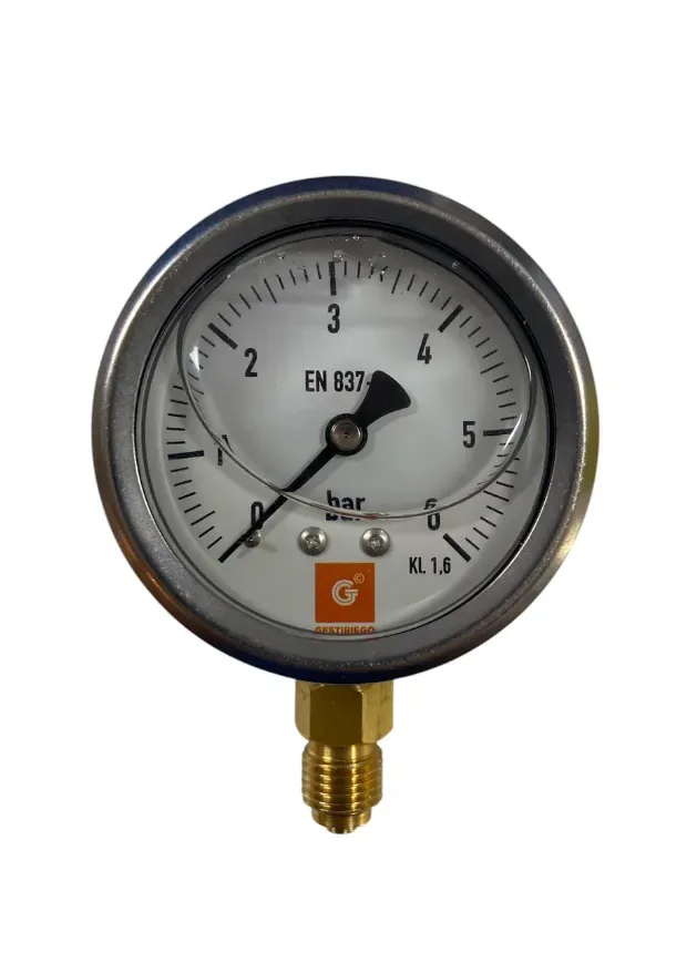 MANOMETRO GLICERINA 0-6 BAR GES 63MM1