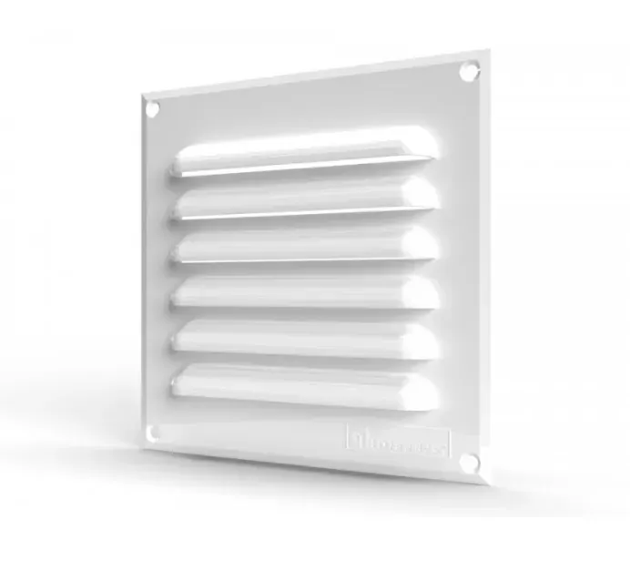 CELOSIA PLANA DE 15X15CM1