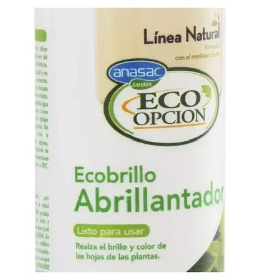 ABRILLANTADOR ECO HOME 250CC1