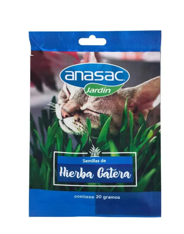 SEMILLA HIERBA PARA GATOS 20G1