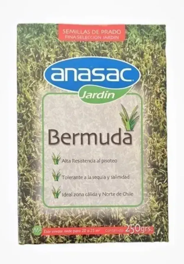 SEMILLA BERMUDA ANASAC 250GR1