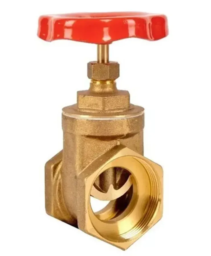 VALVULA COMPUERTA 2 1/2 PULGADAS1