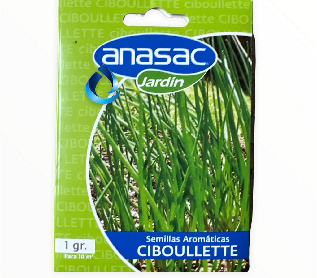 SEMILLA CIBOULETTE 1G1