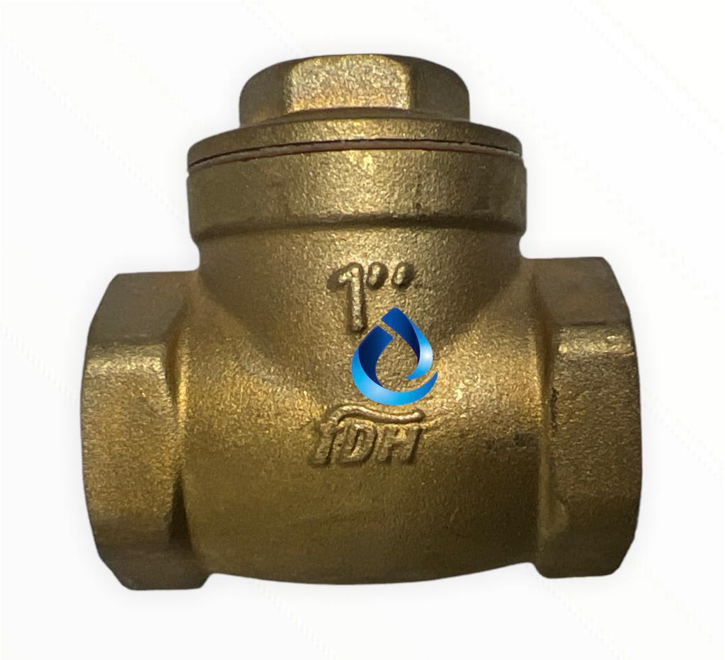 VALVULA RETENCION HORIZONTAL 1