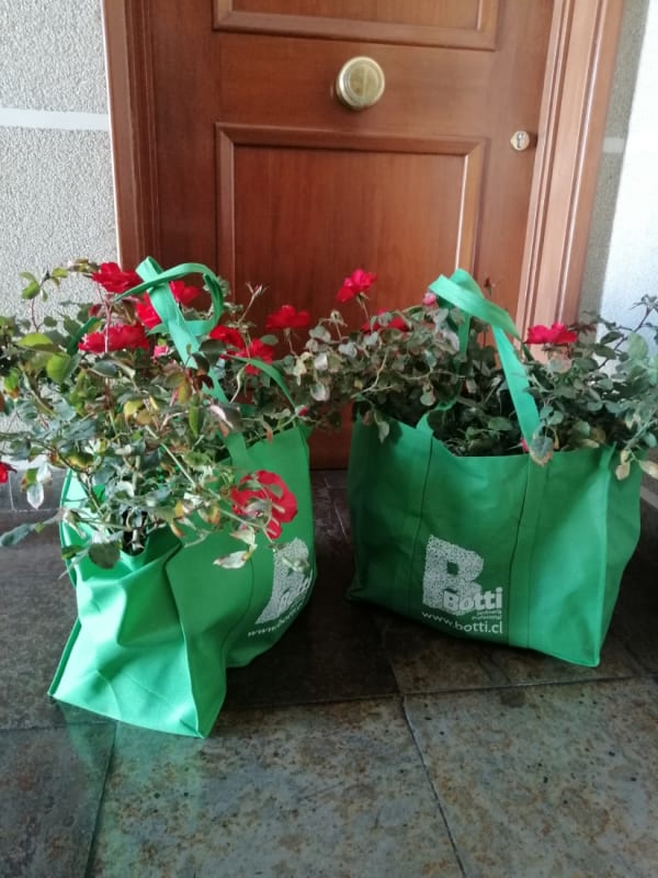 ¿Qué esperar cuando compro Online?