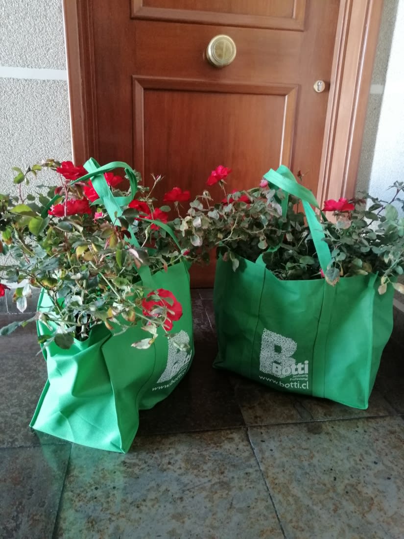 ¿Qué esperar cuando compro Online?