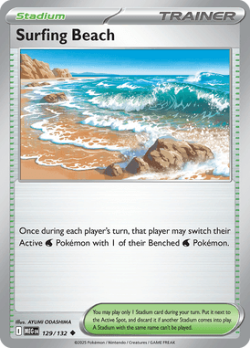 Surfing Beach 129/1321