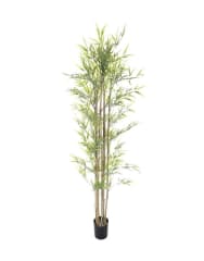 BAMBOO 180 CM 5 TRONCOS