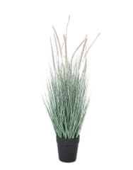 GRASS DOGTAIL CELESTE 71 CM