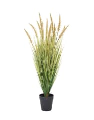 GRASS DOGTAIL VERDE ALTO  91.5 CM