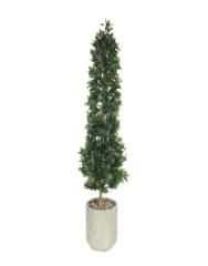 Laurel 185 cm con macetero incluido