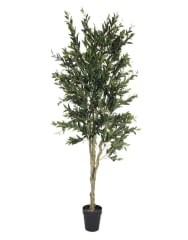 OLIVO ARBOL 170 CM
