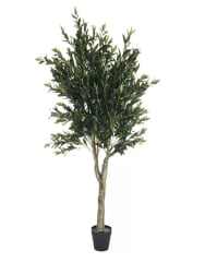 OLIVO ARBOL 150 CM