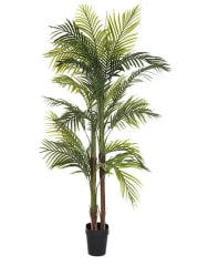 PALMERA  150 CM