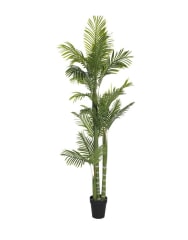 PALMERA 160 CM