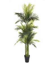 PALMERA  180 CM